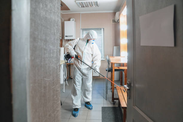 Best Residential Mold Inspection & Testing  in Charleston, SC