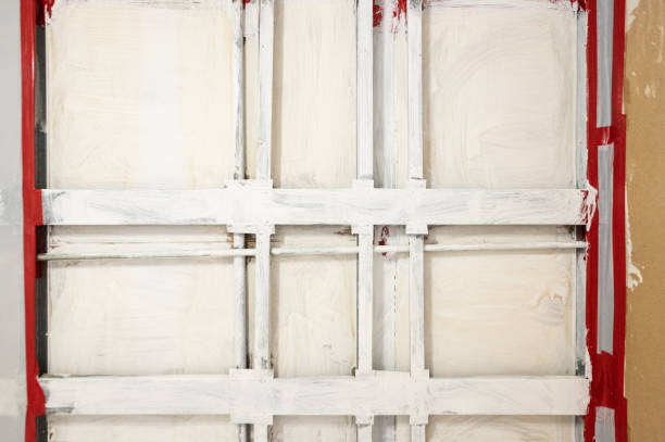 Best Real Estate Mold Inspection  in Charleston, SC